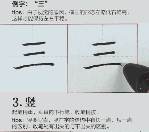 图片[13]-硬笔书法教程：怎样写好钢笔字偏旁部首？-好字无忧