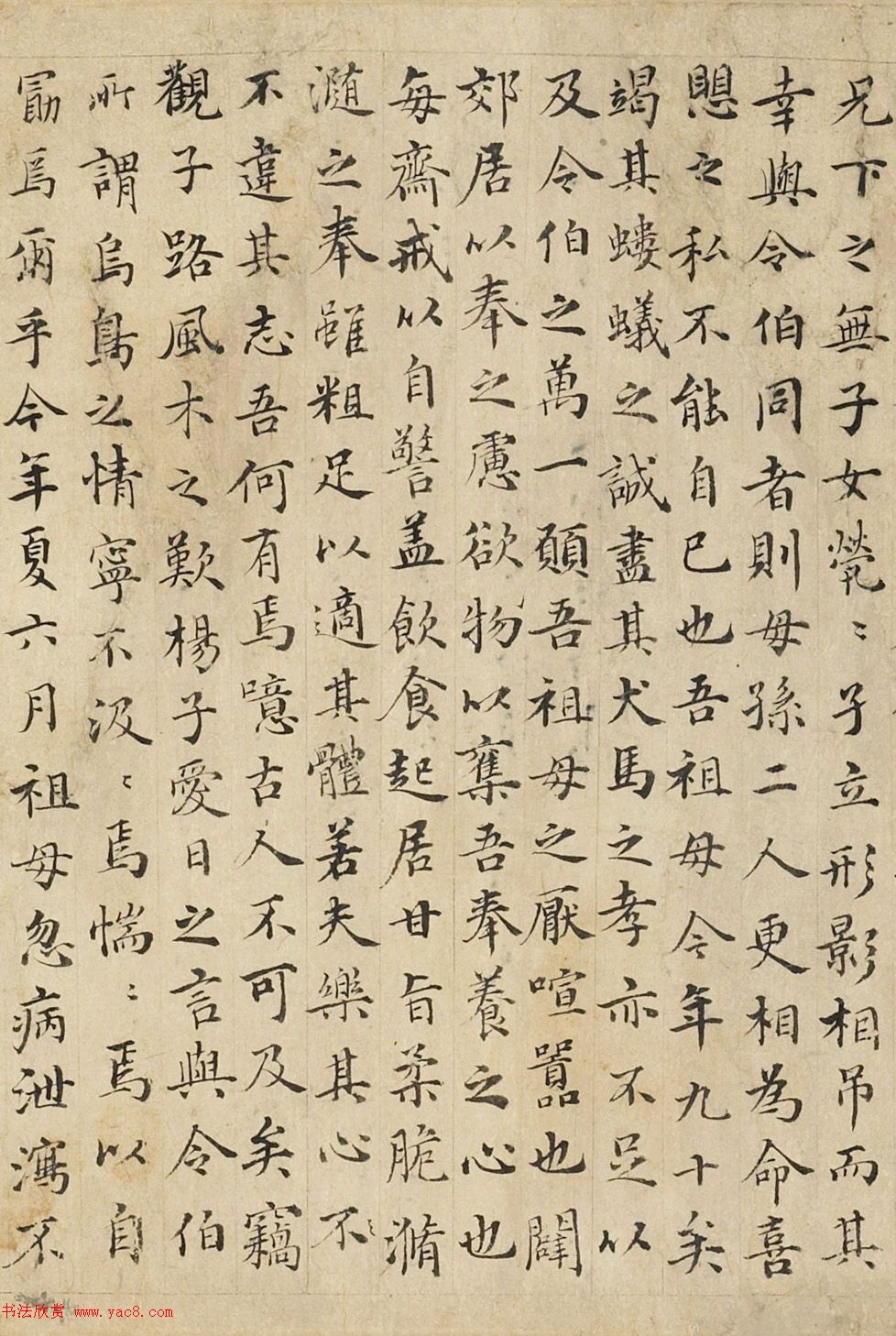 元代沈右小楷《送医师沈伯新序》