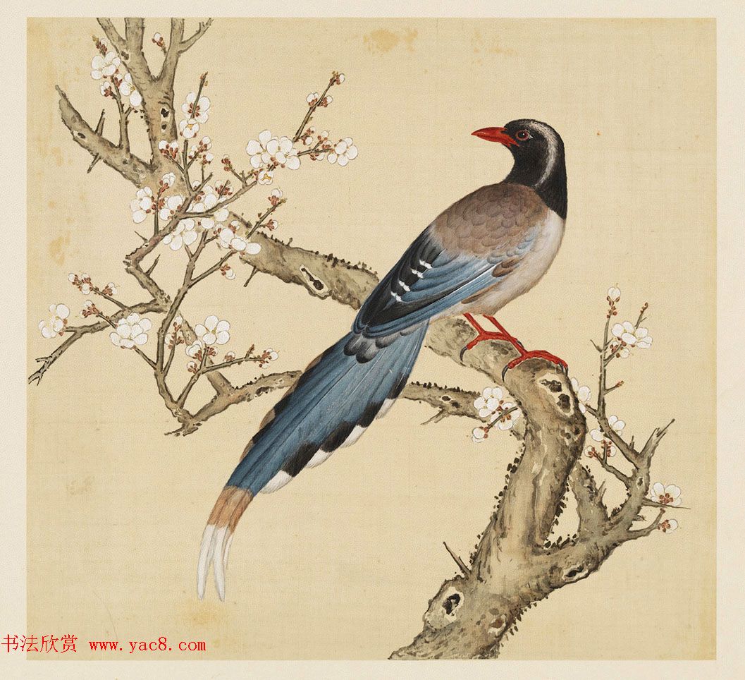汉文满文字画欣赏《清人鸟谱册》